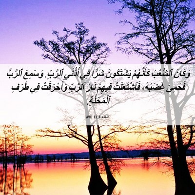Picture 06 - اَلْعَدَد 11:1 AVD - وَكَانَ ٱلشَّعْبُ - Bible Verse Picture