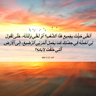 Picture 06 - اَلْعَدَد 11:12 AVD - أَلَعَلِّي حَبِلْتُ - Bible Verse Picture