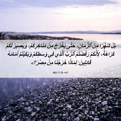 Picture 06 - اَلْعَدَد 11:20 AVD - بَلْ شَهْرًا مِنَ - Bible Verse Picture