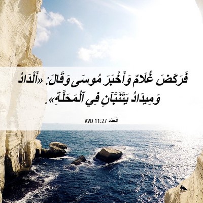 Picture 06 - اَلْعَدَد 11:27 AVD - فَرَكَضَ غُلَامٌ - Bible Verse Picture