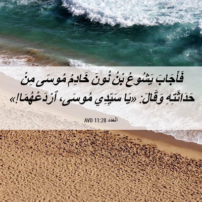 Picture 06 - اَلْعَدَد 11:28 AVD - فَأَجَابَ يَشُوعُ بْنُ - Bible Verse Picture