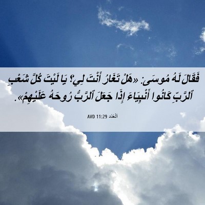 Picture 06 - اَلْعَدَد 11:29 AVD - فَقَالَ لَهُ مُوسَى: «هَلْ - Bible Verse Picture