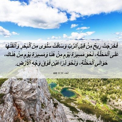 Picture 06 - اَلْعَدَد 11:31 AVD - فَخَرَجَتْ رِيحٌ مِنْ - Bible Verse Picture