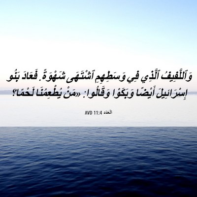 Picture 06 - اَلْعَدَد 11:4 AVD - وَٱللَّفِيفُ ٱلَّذِي فِي - Bible Verse Picture