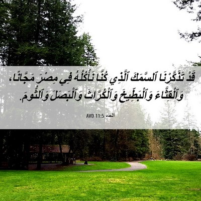 Picture 06 - اَلْعَدَد 11:5 AVD - قَدْ تَذَكَّرْنَا - Bible Verse Picture