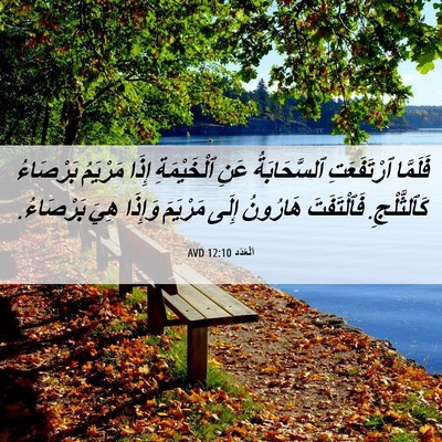 Picture 06 - اَلْعَدَد 12:10 AVD - فَلَمَّا ٱرْتَفَعَتِ - Bible Verse Picture