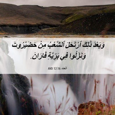 Picture 06 - اَلْعَدَد 12:16 AVD - وَبَعْدَ ذَلِكَ ٱرْتَحَلَ - Bible Verse Picture