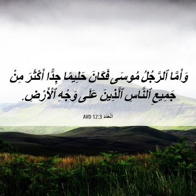 Picture 06 - اَلْعَدَد 12:3 AVD - وَأَمَّا ٱلرَّجُلُ مُوسَى - Bible Verse Picture