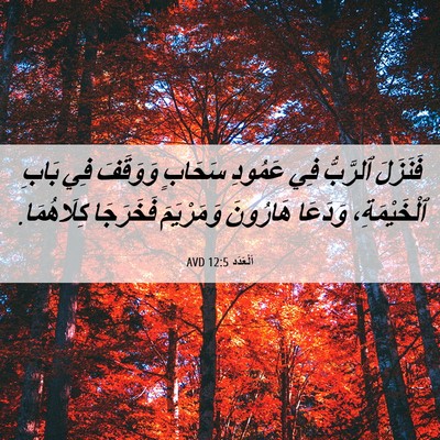 Picture 06 - اَلْعَدَد 12:5 AVD - فَنَزَلَ ٱلرَّبُّ فِي - Bible Verse Picture