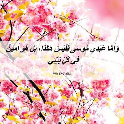 Picture 06 - اَلْعَدَد 12:7 AVD - وَأَمَّا عَبْدِي مُوسَى - Bible Verse Picture
