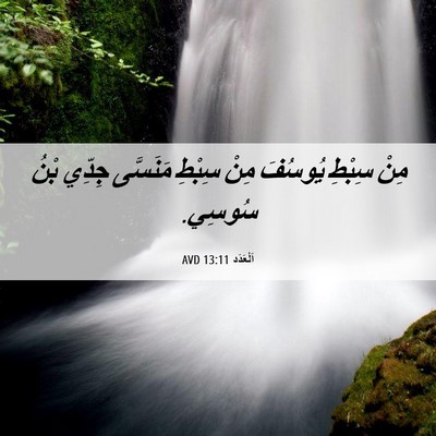 Picture 06 - اَلْعَدَد 13:11 AVD - مِنْ سِبْطِ يُوسُفَ مِنْ - Bible Verse Picture