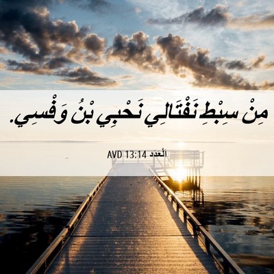 Picture 06 - اَلْعَدَد 13:14 AVD - مِنْ سِبْطِ نَفْتَالِي - Bible Verse Picture
