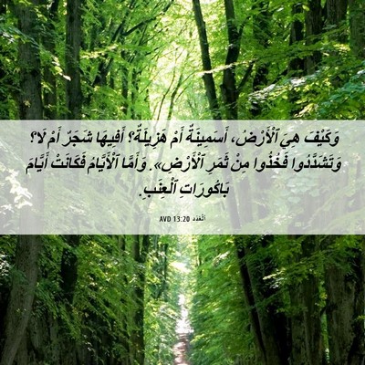 Picture 06 - اَلْعَدَد 13:20 AVD - وَكَيْفَ هِيَ ٱلْأَرْضُ، - Bible Verse Picture