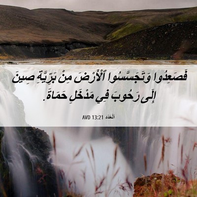 Picture 06 - اَلْعَدَد 13:21 AVD - فَصَعِدُوا وَتَجَسَّسُوا - Bible Verse Picture