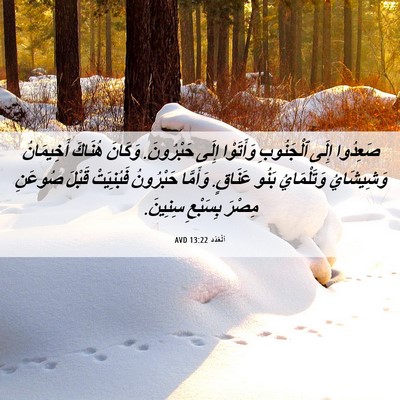 Picture 06 - اَلْعَدَد 13:22 AVD - صَعِدُوا إِلَى ٱلْجَنُوبِ - Bible Verse Picture