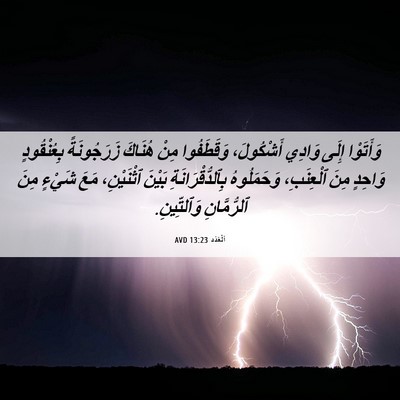 Picture 06 - اَلْعَدَد 13:23 AVD - وَأَتَوْا إِلَى وَادِي - Bible Verse Picture