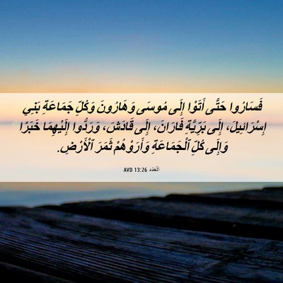 Picture 06 - اَلْعَدَد 13:26 AVD - فَسَارُوا حَتَّى أَتَوْا - Bible Verse Picture