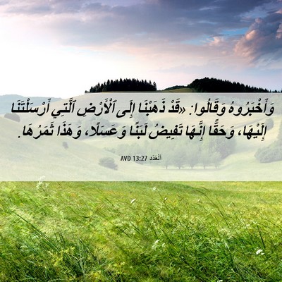 Picture 06 - اَلْعَدَد 13:27 AVD - وَأَخْبَرُوهُ وَقَالُوا: - Bible Verse Picture