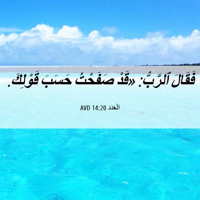 Picture 06 - اَلْعَدَد 14:20 AVD - فَقَالَ ٱلرَّبُّ: «قَدْ - Bible Verse Picture