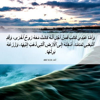 Picture 06 - اَلْعَدَد 14:24 AVD - وَأَمَّا عَبْدِي كَالِبُ - Bible Verse Picture