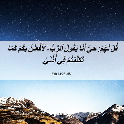 Picture 06 - اَلْعَدَد 14:28 AVD - قُلْ لَهُمْ: حَيٌّ أَنَا - Bible Verse Picture
