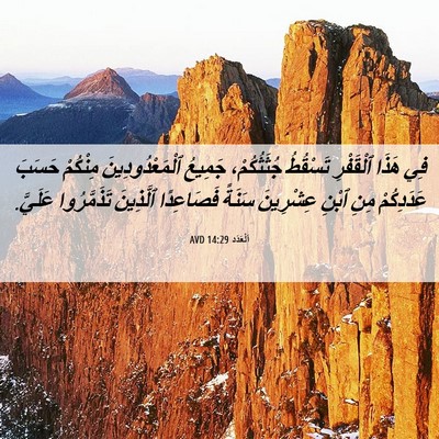 Picture 06 - اَلْعَدَد 14:29 AVD - فِي هَذَا ٱلْقَفْرِ - Bible Verse Picture