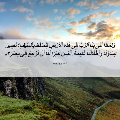 Picture 06 - اَلْعَدَد 14:3 AVD - وَلِمَاذَا أَتَى بِنَا - Bible Verse Picture
