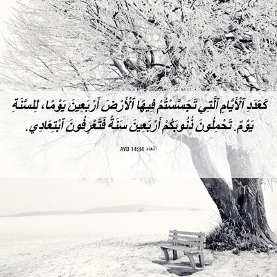 Picture 06 - اَلْعَدَد 14:34 AVD - كَعَدَدِ ٱلْأَيَّامِ - Bible Verse Picture