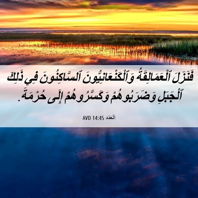 Picture 06 - اَلْعَدَد 14:45 AVD - فَنَزَلَ ٱلْعَمَالِقَةُ - Bible Verse Picture