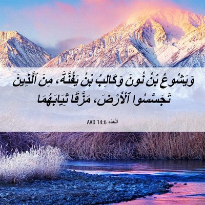 Picture 06 - اَلْعَدَد 14:6 AVD - وَيَشُوعُ بْنُ نُونَ - Bible Verse Picture