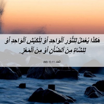 Picture 06 - اَلْعَدَد 15:11 AVD - هَكَذَا يُعْمَلُ - Bible Verse Picture