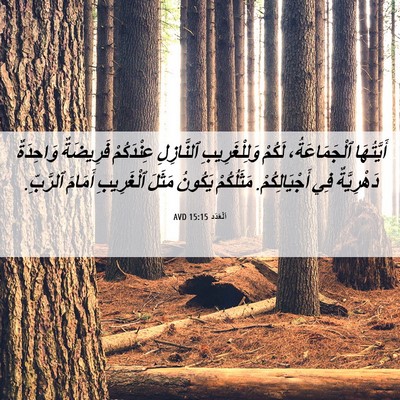 Picture 06 - اَلْعَدَد 15:15 AVD - أَيَّتُهَا ٱلْجَمَاعَةُ، - Bible Verse Picture