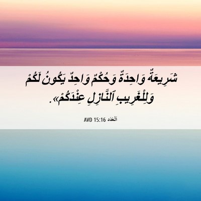 Picture 06 - اَلْعَدَد 15:16 AVD - شَرِيعَةٌ وَاحِدَةٌ - Bible Verse Picture