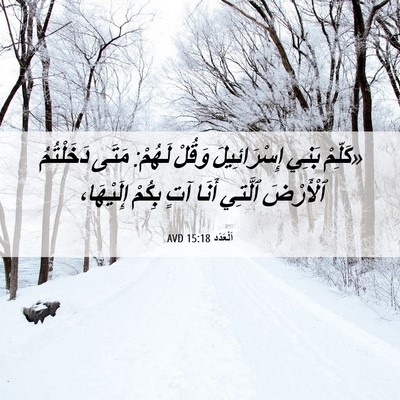 Picture 06 - اَلْعَدَد 15:18 AVD - «كَلِّمْ بَنِي - Bible Verse Picture