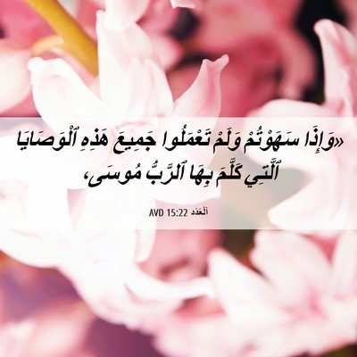 Picture 06 - اَلْعَدَد 15:22 AVD - «وَإِذَا سَهَوْتُمْ - Bible Verse Picture