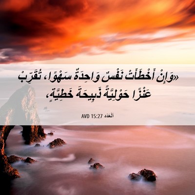 Picture 06 - اَلْعَدَد 15:27 AVD - «وَإِنْ أَخْطَأَتْ نَفْسٌ - Bible Verse Picture