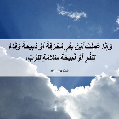 Picture 06 - اَلْعَدَد 15:8 AVD - وَإِذَا عَمِلْتَ ٱبْنَ - Bible Verse Picture