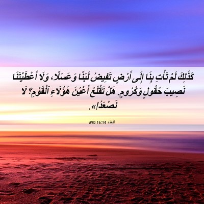 Picture 06 - اَلْعَدَد 16:14 AVD - كَذَلِكَ لَمْ تَأْتِ بِنَا - Bible Verse Picture