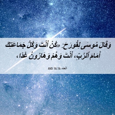 Picture 06 - اَلْعَدَد 16:16 AVD - وَقَالَ مُوسَى لِقُورَحَ: - Bible Verse Picture