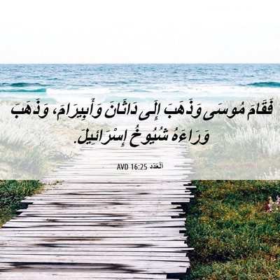 Picture 06 - اَلْعَدَد 16:25 AVD - فَقَامَ مُوسَى وَذَهَبَ - Bible Verse Picture