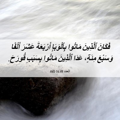 Picture 06 - اَلْعَدَد 16:49 AVD - فَكَانَ ٱلَّذِينَ مَاتُوا - Bible Verse Picture