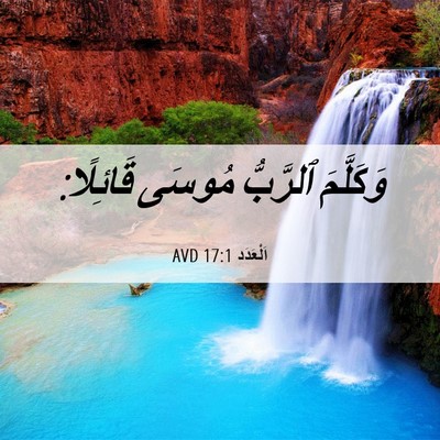 Picture 06 - اَلْعَدَد 17:1 AVD - وَكَلَّمَ ٱلرَّبُّ مُوسَى - Bible Verse Picture