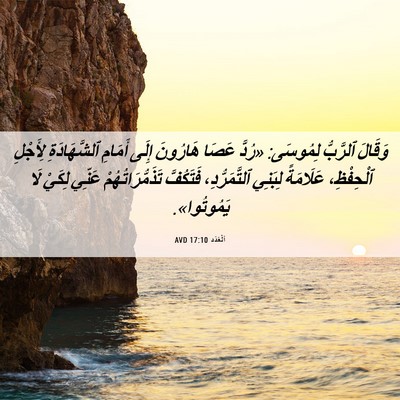 Picture 06 - اَلْعَدَد 17:10 AVD - وَقَالَ ٱلرَّبُّ لِمُوسَى: - Bible Verse Picture
