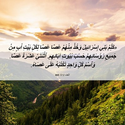 Picture 06 - اَلْعَدَد 17:2 AVD - «كَلِّمْ بَنِي - Bible Verse Picture
