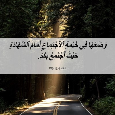Picture 06 - اَلْعَدَد 17:4 AVD - وَضَعْهَا فِي خَيْمَةِ - Bible Verse Picture