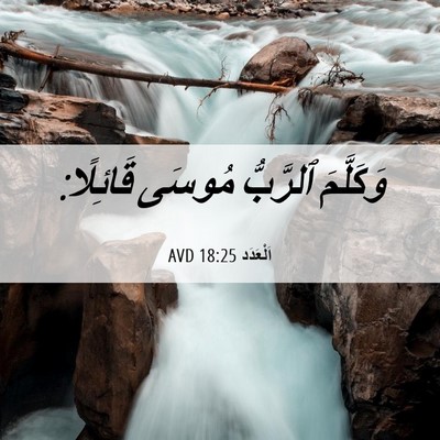 Picture 06 - اَلْعَدَد 18:25 AVD - وَكَلَّمَ ٱلرَّبُّ مُوسَى - Bible Verse Picture