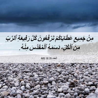 Picture 06 - اَلْعَدَد 18:29 AVD - مِنْ جَمِيعِ عَطَايَاكُمْ - Bible Verse Picture