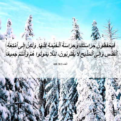 Picture 06 - اَلْعَدَد 18:3 AVD - فَيَحْفَظُونَ حِرَاسَتَكَ - Bible Verse Picture