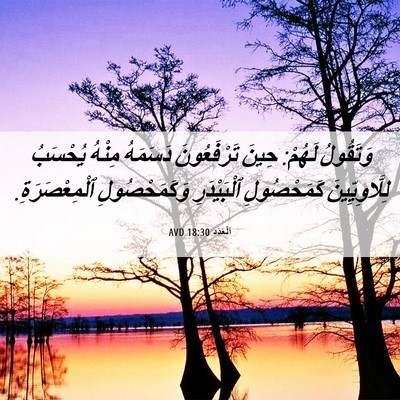 Picture 06 - اَلْعَدَد 18:30 AVD - وَتَقُولُ لَهُمْ: حِينَ - Bible Verse Picture