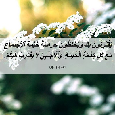 Picture 06 - اَلْعَدَد 18:4 AVD - يَقْتَرِنُونَ بِكَ - Bible Verse Picture